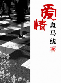 女高中生伪日记